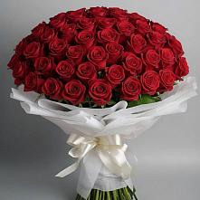 Букет 101 Красная роза Блэк Мэджик #REPLACE_PRED# Бужарово