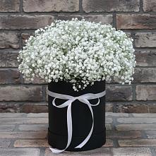 Цветочная композиция из Гипсофила в шляпной коробке в Бужарово