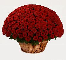 Премиум букет из: Розы #REPLACE_PRED# Бужарово