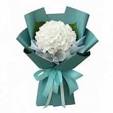 Букет цветов из:  Гортензия #REPLACE_PRED# Бужарово